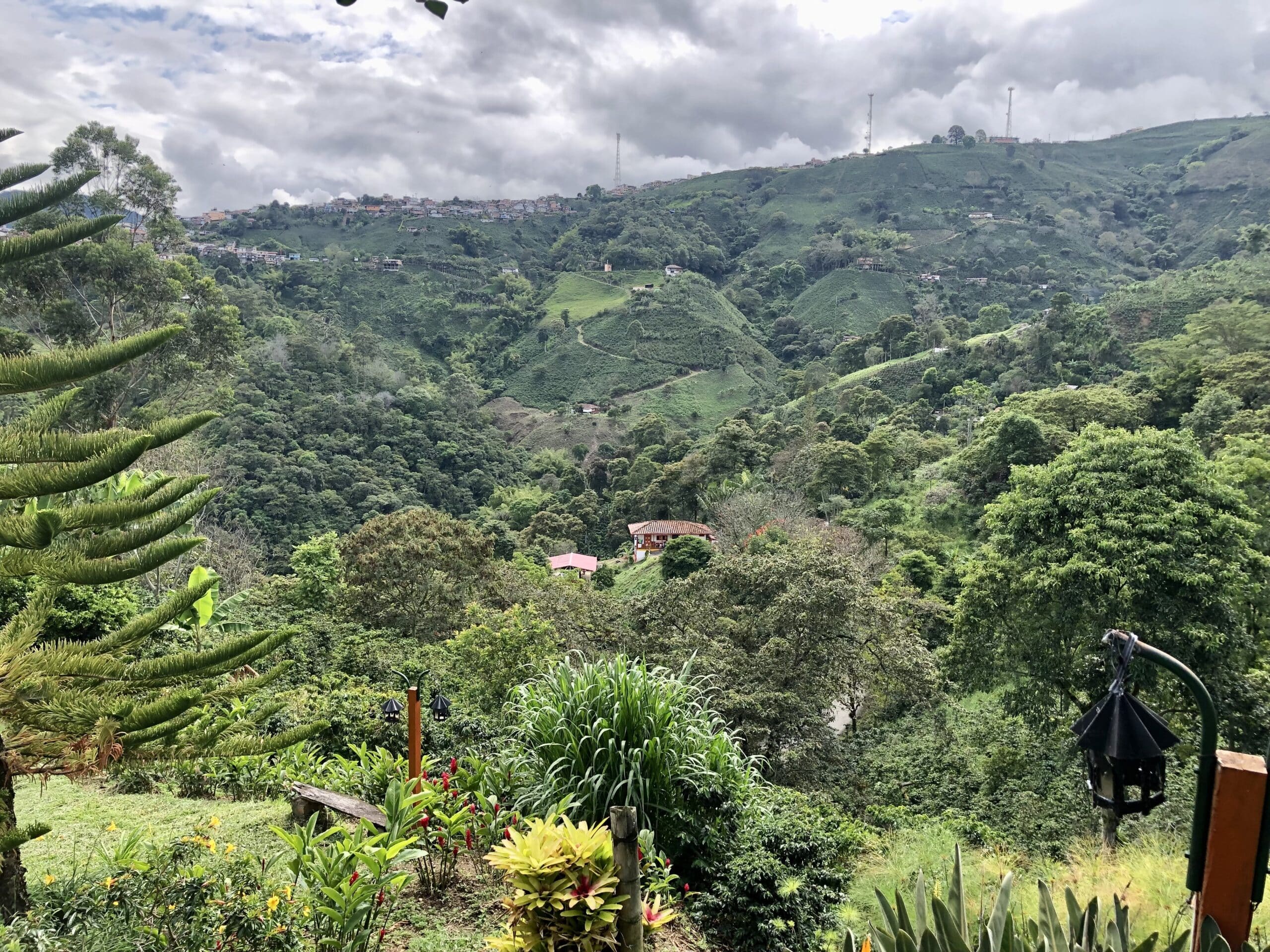 Coffee plantations in Colombia - Phoenix Travel Groupl