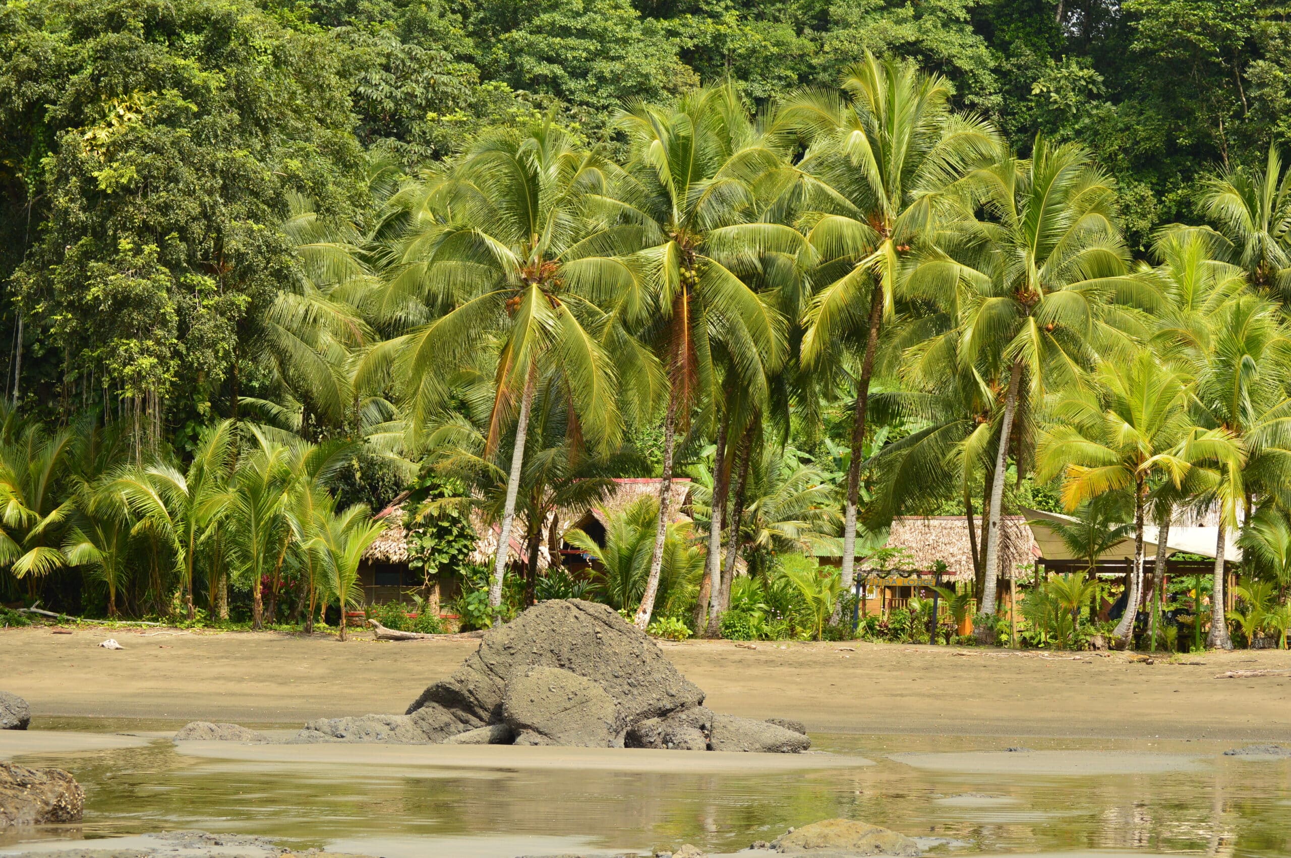 Colombian pacific - Phoenix Travel Group